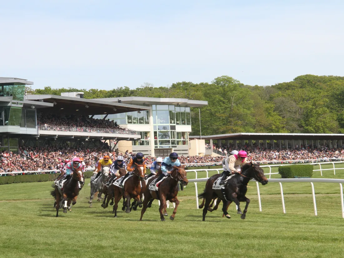Hippisme. L'hippodrome du Lion d'Angers doit renoncer à sa première...